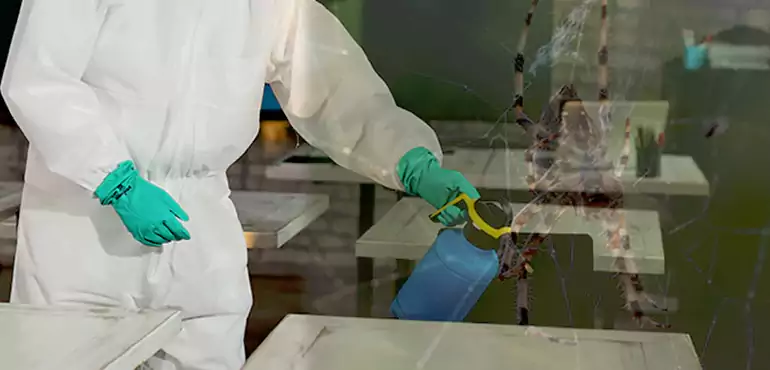 Why Buyers Still Want Homes With Pest Infestations in St. Louis, MO?
