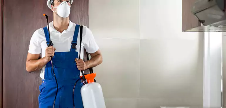 Why St. Louis Homeowners Choose Us When Pests Make Selling Difficult
